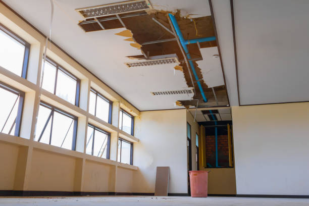 Best Emergency water damage restoration  in Cedar Bluff, VA