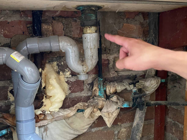 Best Water damage restoration insurance claims  in Cedar Bluff, VA