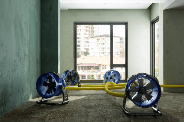 Best Water damage restoration near me  in Cedar Bluff, VA